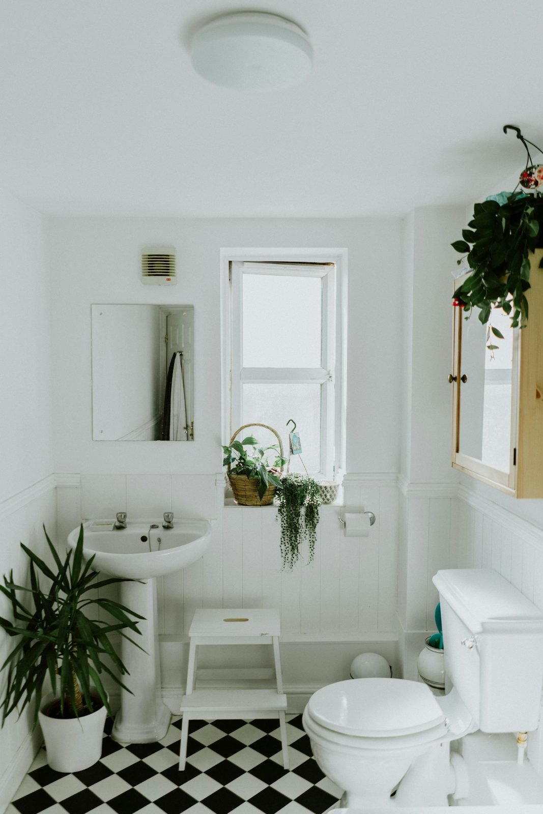 Luxury Bathrooms construction photo